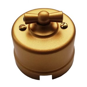 Ретро выключатель поворотный, пластик, Золото, Retro Design P-Электро RE-RDV1GL-PV RE-RDV1GL-PV