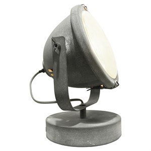 Спот Lussole Loft LSP-9880 LSP-9880