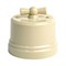 Ретро выключатель пластиковый слоновая кость EDISEL ВASIC KBSw1-02 KBSw1-02 - фото 15058
