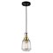 Подвесной светильник Lussole  Brighamton GRLSP-9677 GRLSP-9677 - фото 19205