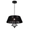 Подвесной светильник Lussole Loft Cameron GRLSP-8106 GRLSP-8106 - фото 19243