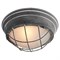 Потолочный светильник Lussole  Brentwood GRLSP-9881 GRLSP-9881 - фото 20001