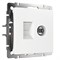 Розетка ТВ+Ethernet RJ-45 6 cat. (белый) W1181301 W1181301 - фото 21724