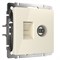Розетка ТВ+Ethernet RJ-45 6 cat.(слоновая кость) W1181303 W1181303 - фото 21742