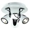Спот Lussole Loft LSN-4101-03 LSN-4101-03 - фото 9044