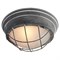 Потолочный светильник Lussole  Brentwood LSP-9881 LSP-9881 - фото 9165