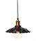 Подвесной светильник LOFT IT LOFT1101 LOFT1101 - фото 9745